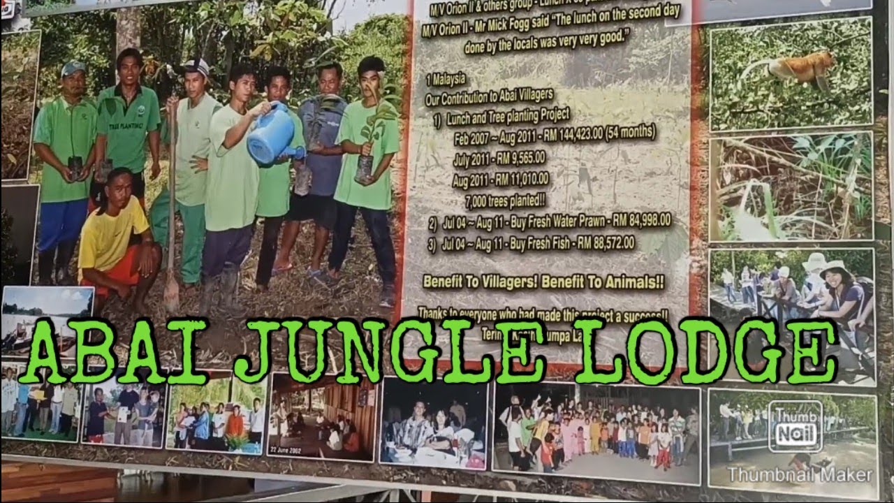 Welcome To Abai Jungle Lodge||Tempat Pelancongan Yang Menarik Untuk Dikunjungi,APA YANG ADA DISINI??