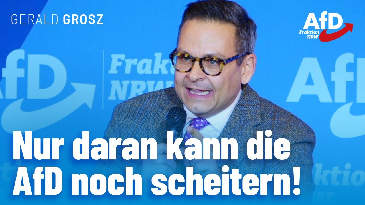 Nur daran kann die AfD noch scheitern! – Gerald Grosz