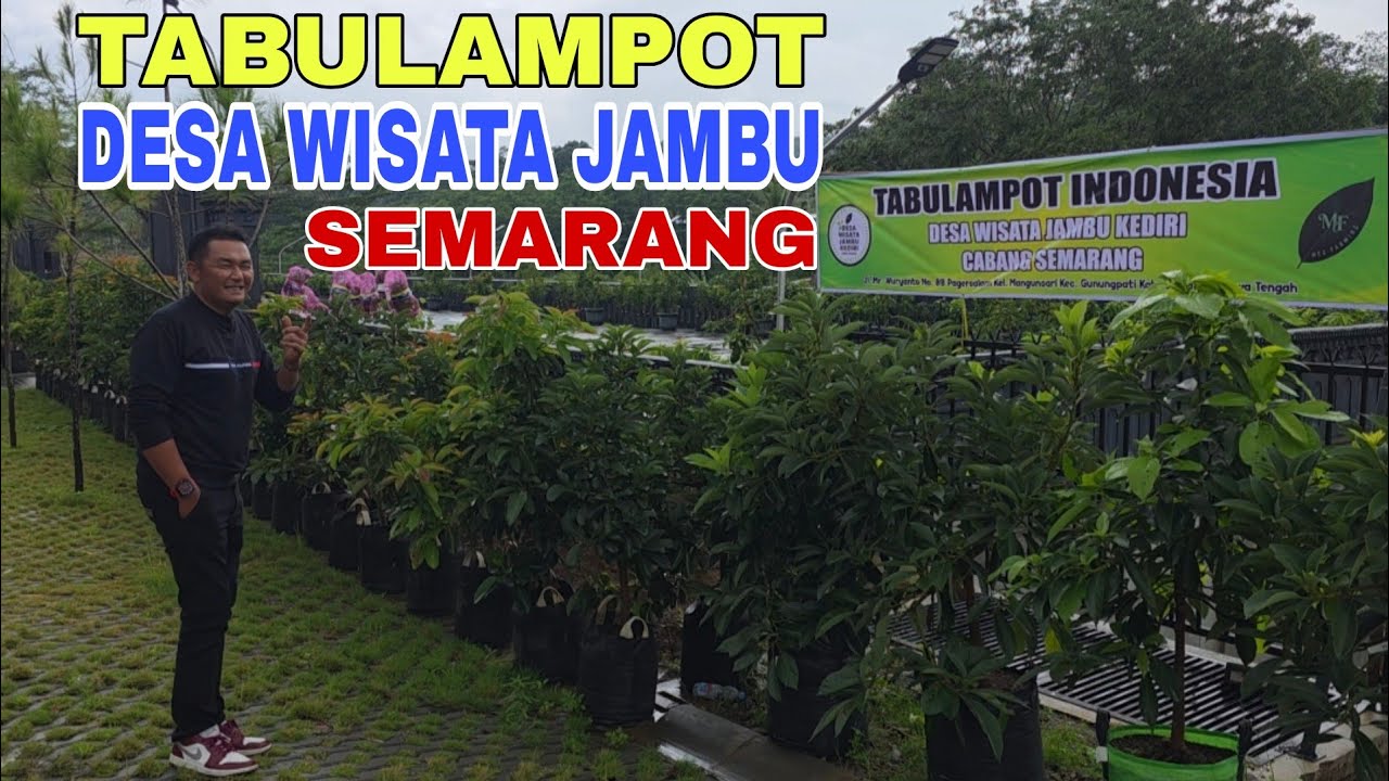 TABULAMPOT INDONESIA | DESA WISATA JAMBU | CABANG SEMARANG