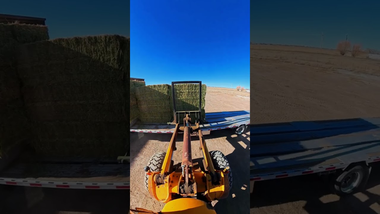 John Deere 644 loading alfalfa