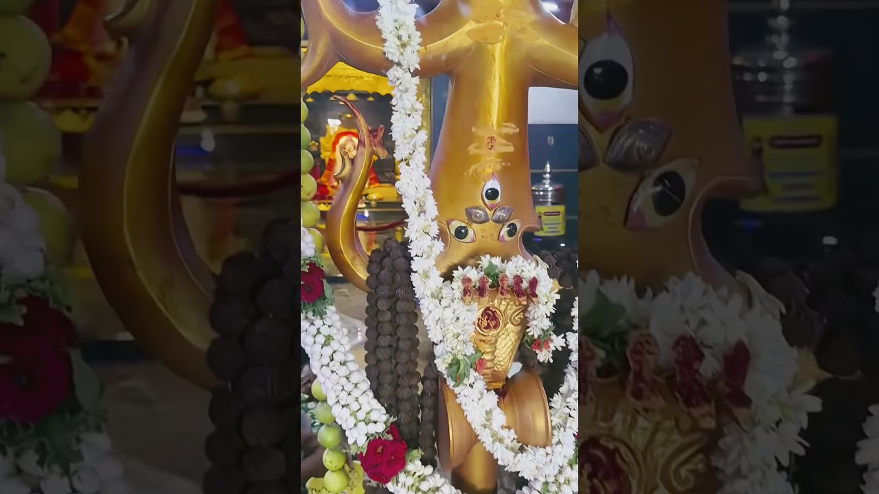 my fevarate ammavaaru