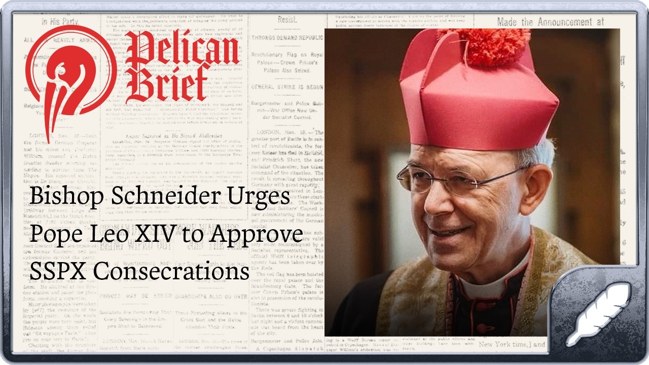 Bishop Schneider Speaks Up About the SSPX Consecrations