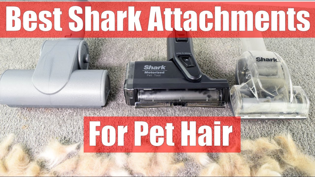 Best Shark Attachments for Pet Hair