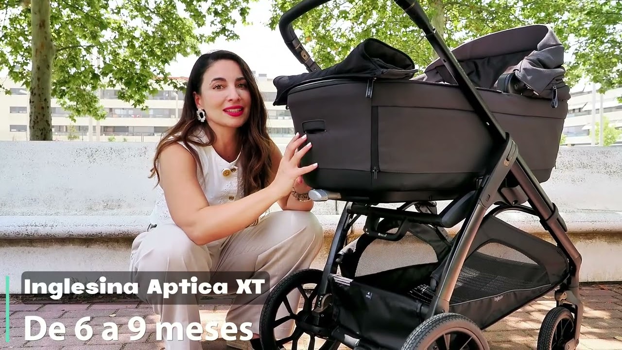 Inglesina Aptica XT 2025