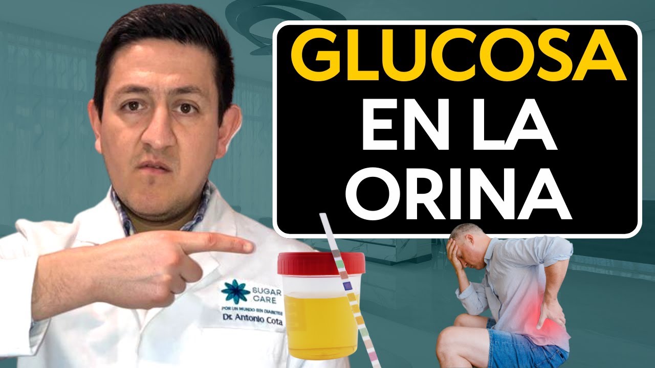 GLUCOSA ALTA en sangre y GLUCOSA EN LA ORINA