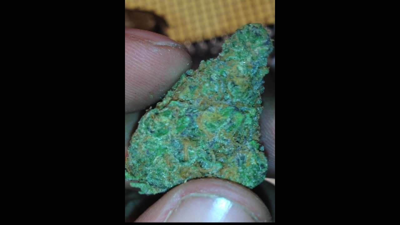 King Louis XIII  Strain