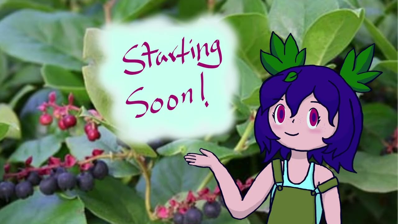 yall better HYTALE it over here!
