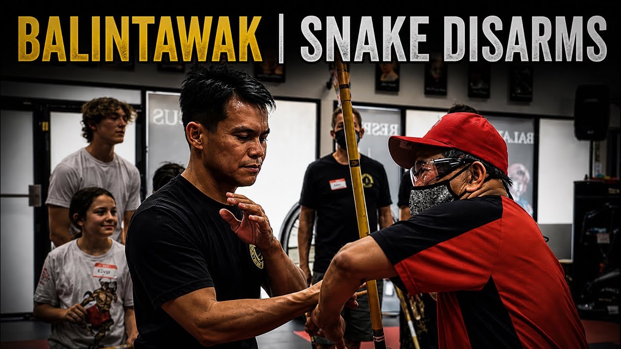 🇵🇭 Balintawak | Advanced Snake Disarms & Counters | Great Grandmaster Atillo