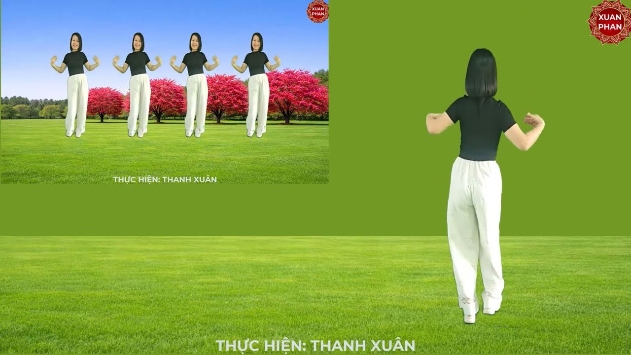 Nhạc chậm: 🌷THÔI KỆ ĐI🌻( RẤT ĐẸP - DỄ TẬP)