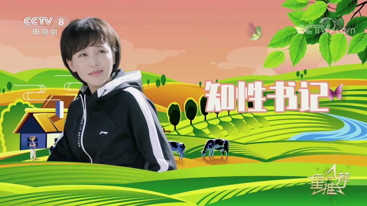 《星推荐》 20200611 刘智扬推荐《最美的乡村》| CCTV电视剧