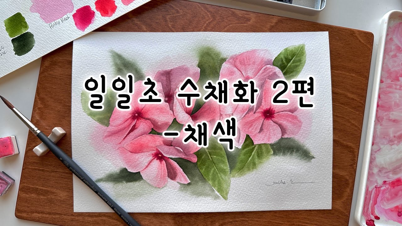 [2편]일일초 수채화-채색하는 방법| Watercolor Painting Tutorial