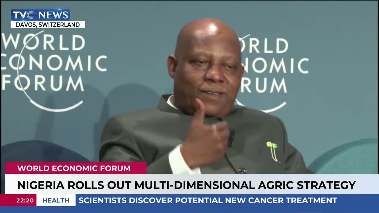 VP Shettima Unveils Nigeria's Macro-Strategy At Davos Meeting