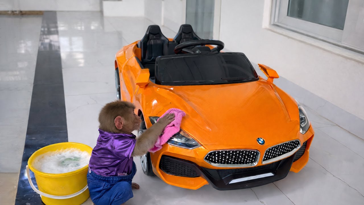 Super Cute! Monkey Kyo Cleans a Supercar in the Most Adorable Way