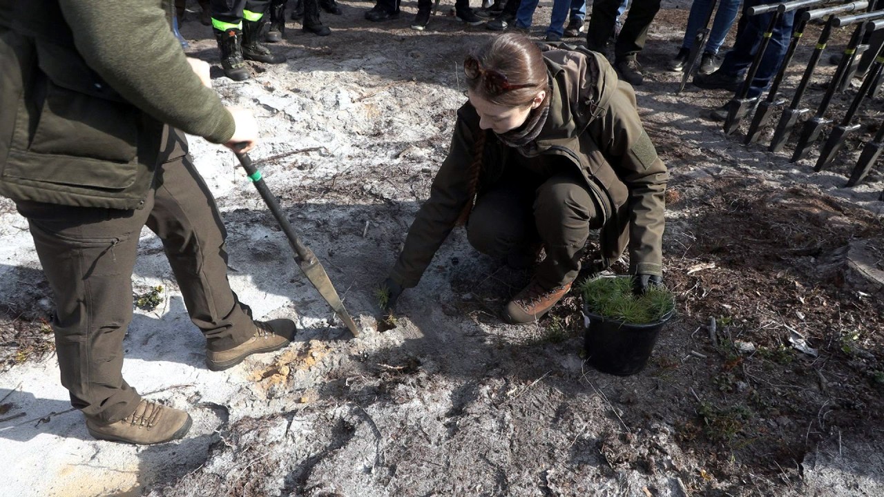 TKB - 50 lat Nadleśnictwa - 13.04.2026