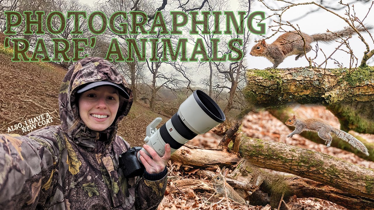 My first solo wildlife photography excursion