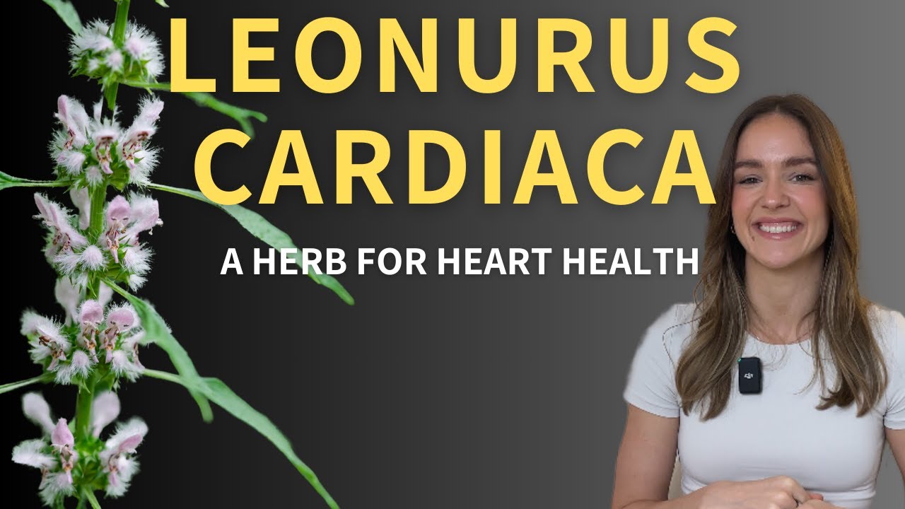 Exploring the Science of Motherwort: Herbal Insights & Practical Tips for Cardiovascular Health