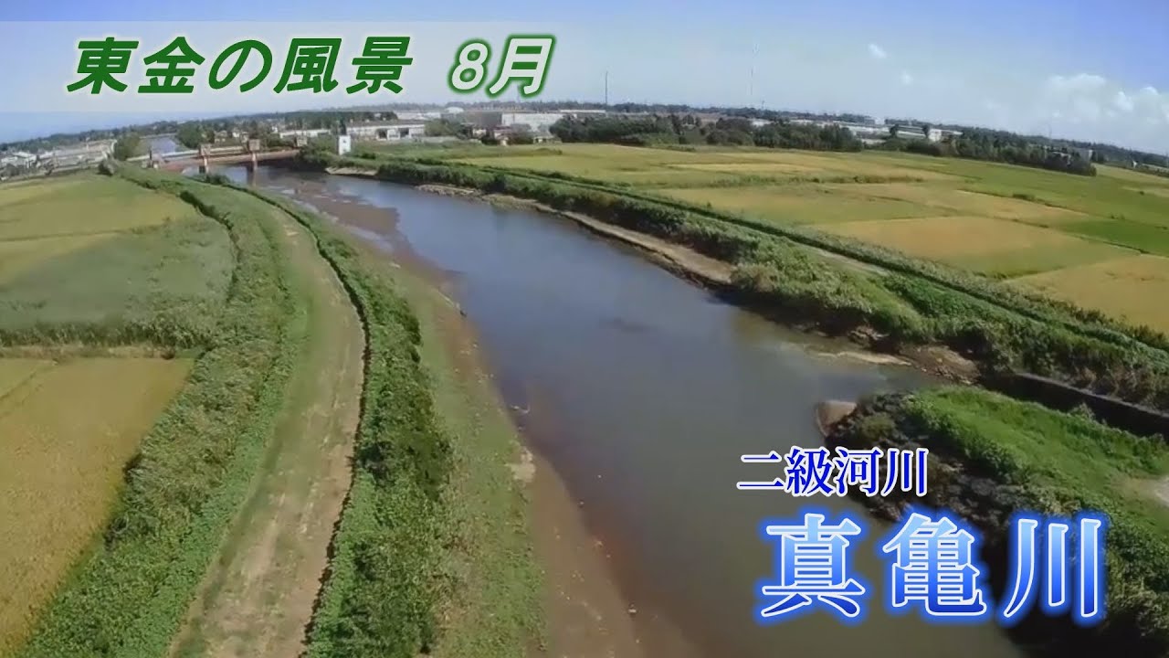 【東金の風景 8月】二級河川 真亀川／東金市・八街市・山武市・大網白里市・九十九里町