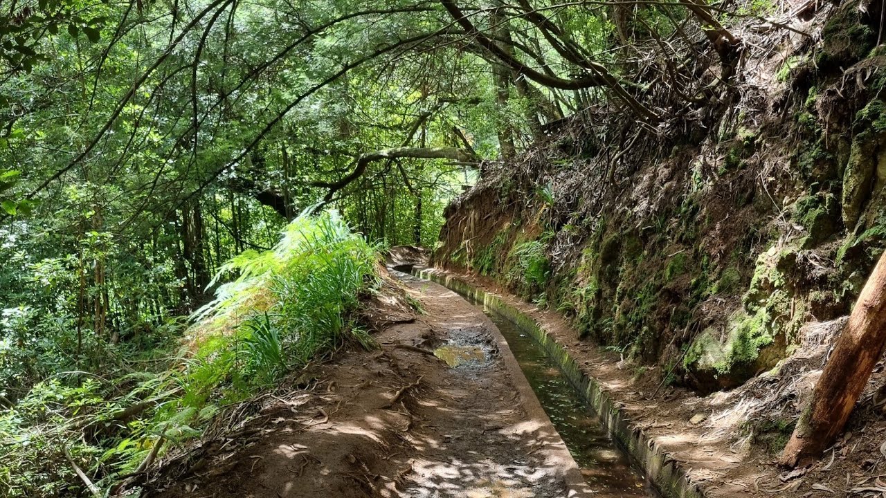 Madeira - Levada do Rei PR18 - Wanderung