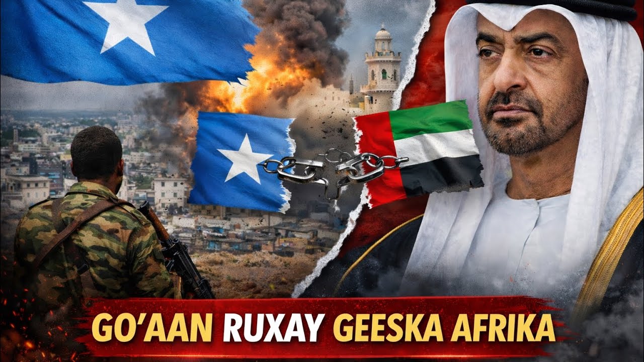 Hal Go’aan Oo Bedelay Gobolka: Soomaaliya Iyo Imaaraadka Go’aan lama filaan ah ayaa ka soo baxay.
