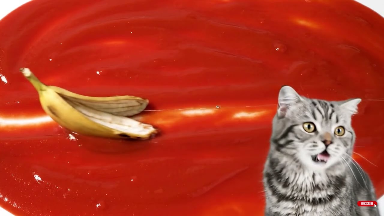 A banana peel gets pulled by a fishing line across a floor covered in ketchup while a cat meows