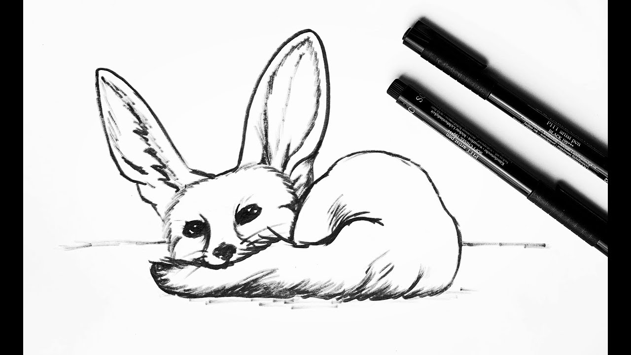 How to draw a fennec fox easy