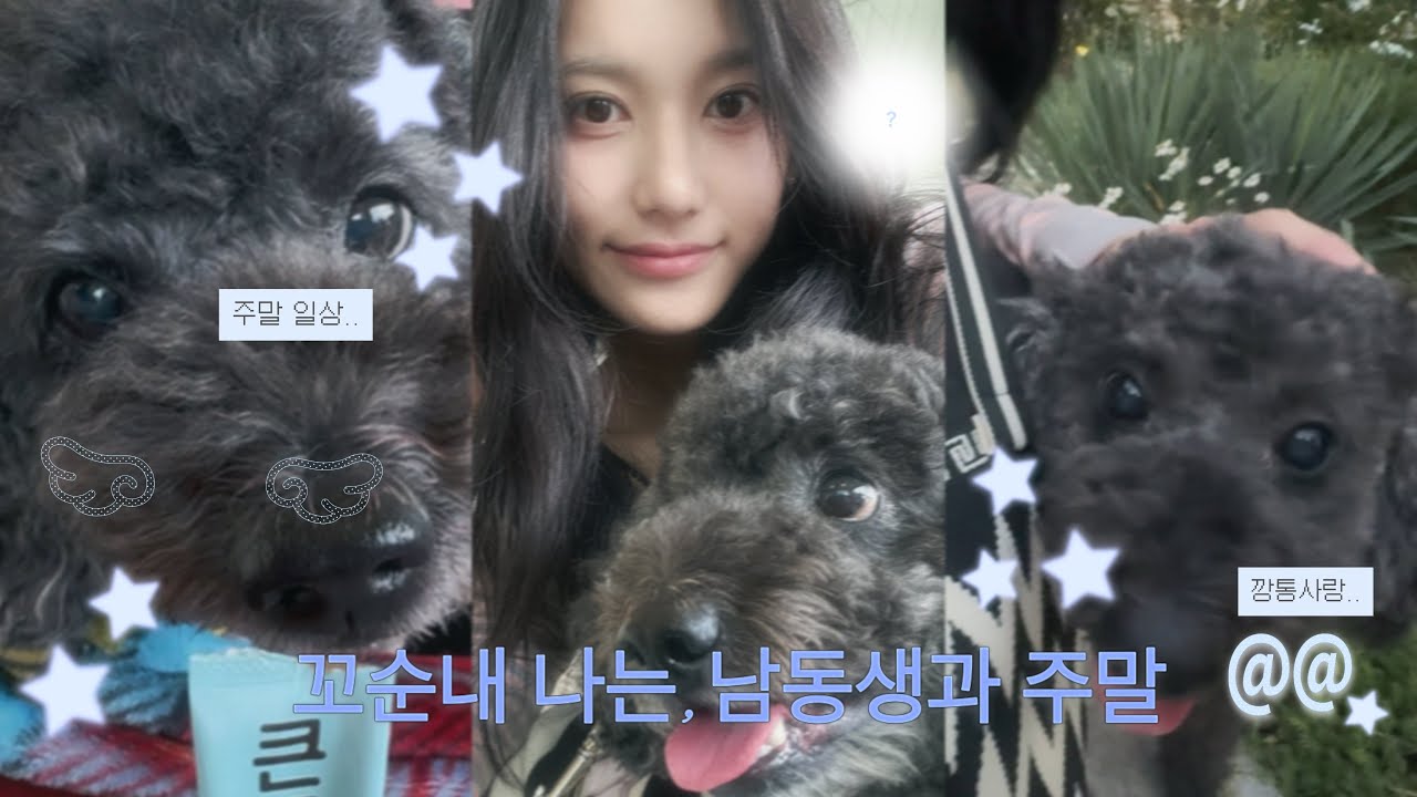 Vlog 꼬순내 나는, 남동생이랑 주말보내기 | 내 남동생은 강아지🤍