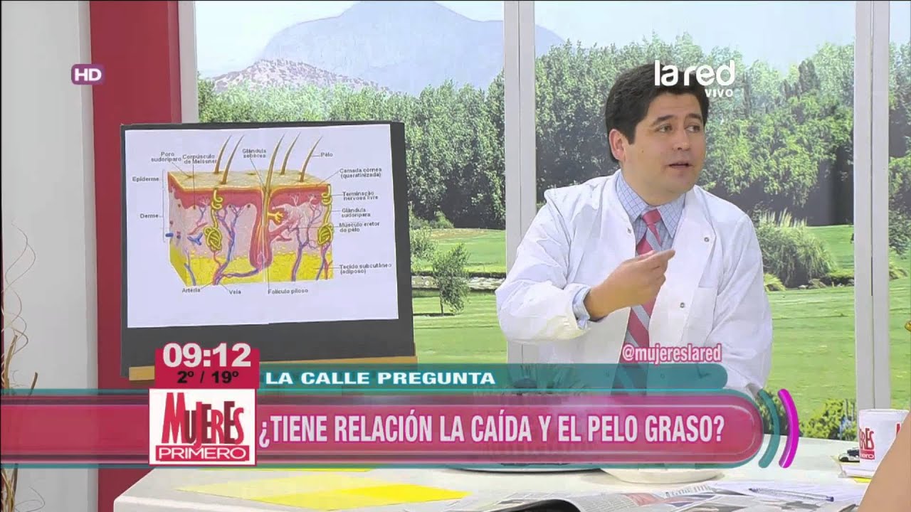 Cuidados para el cabello graso
