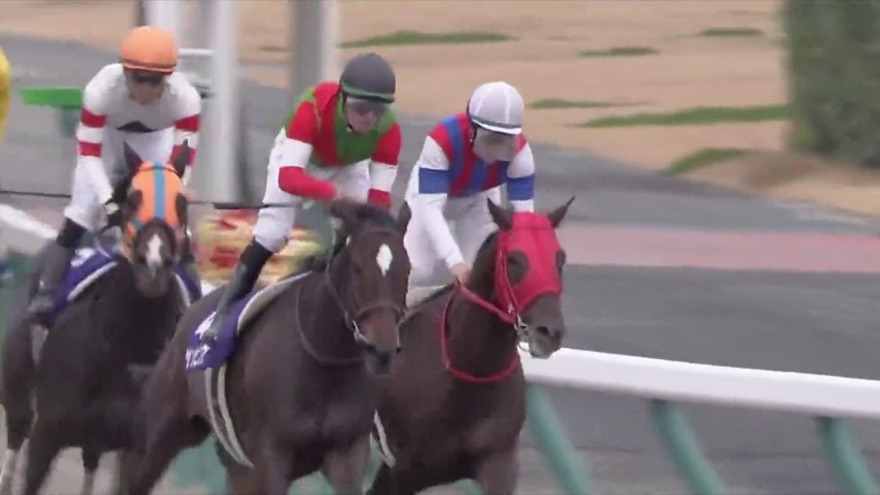 2015 チャンピオンズカップ (GⅠ) 直線