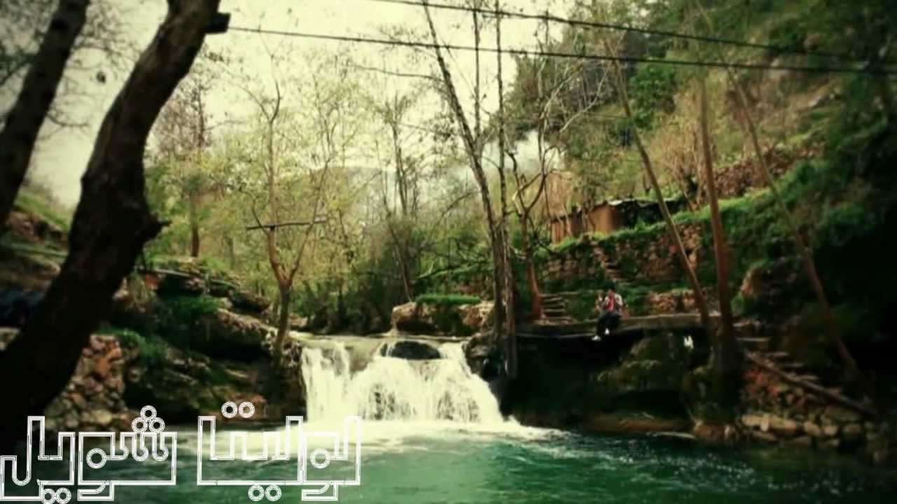 محمد بشار | باب الكريم بدون إيقاع