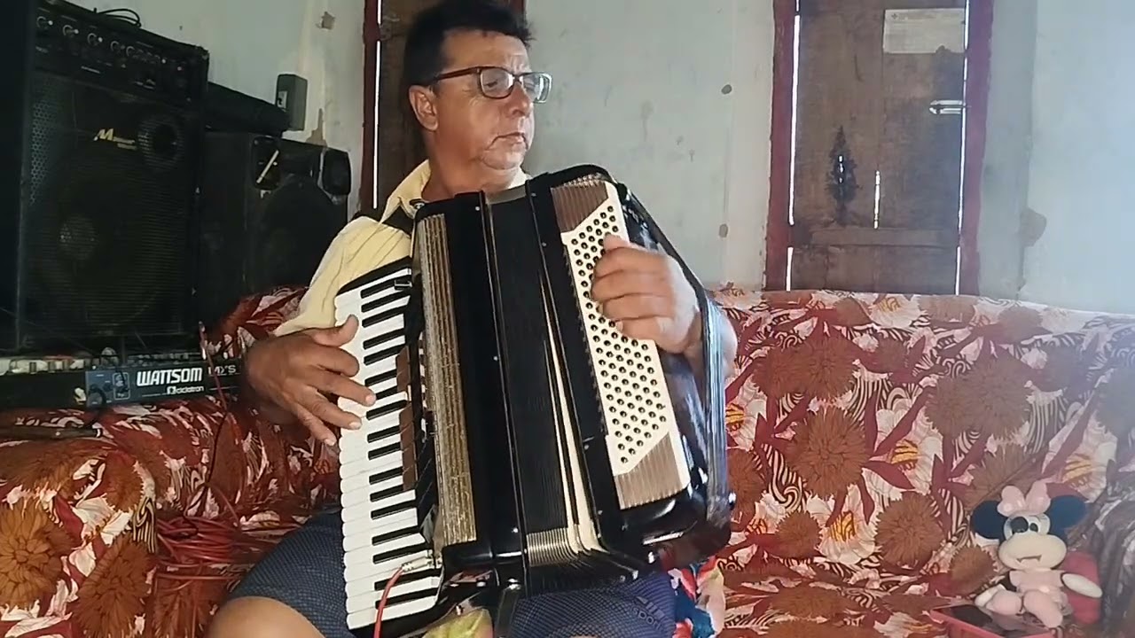 Wilson sanfoneiro tocando  forró ATUALIZADO  