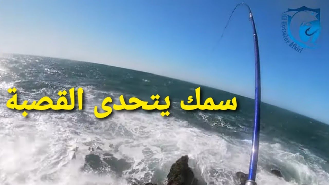 الصيد بتقنية التربيطة