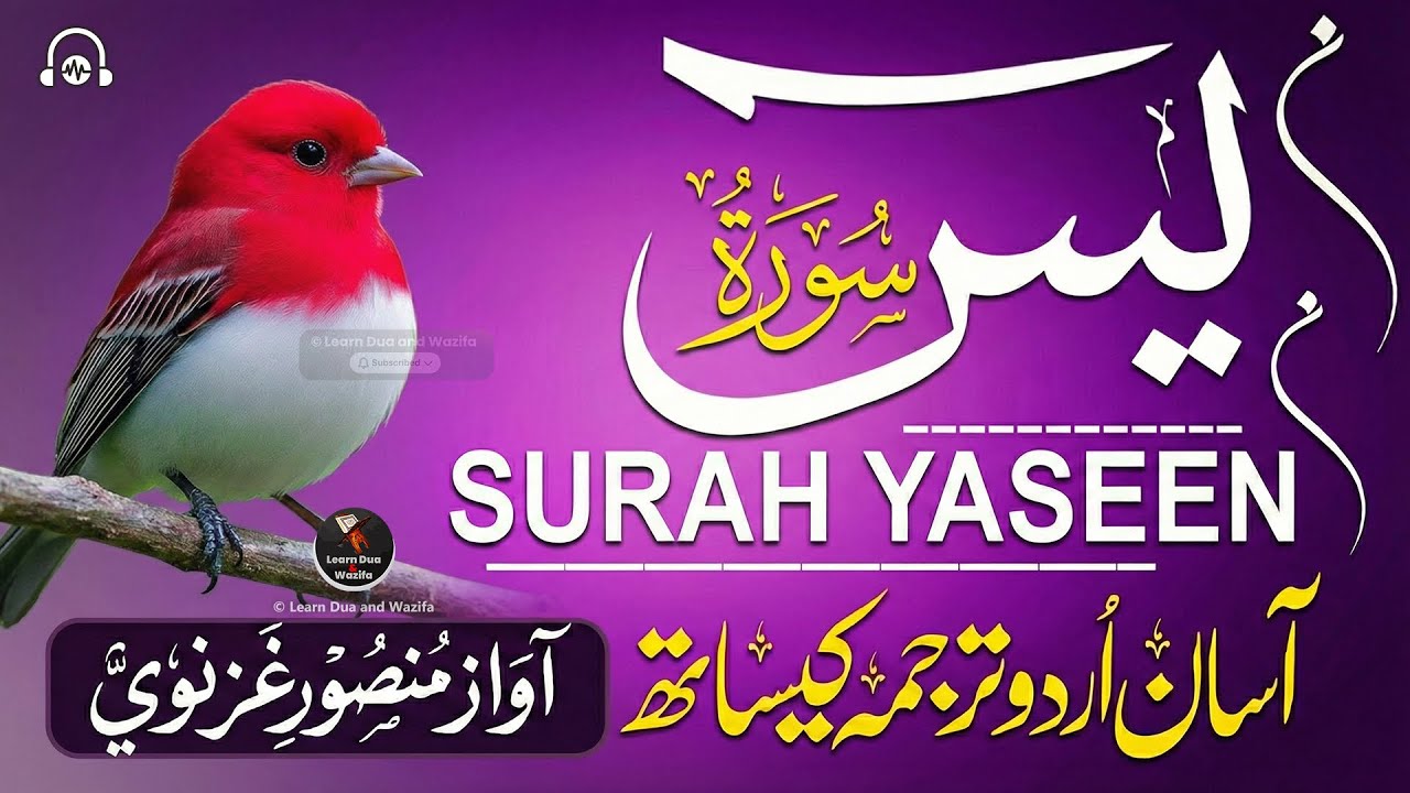 Surah Yaseen Full | Yasin Dua | Surah Rahman, Mulk, Qul Sharif, Ayatul Kursi | Episode - 060