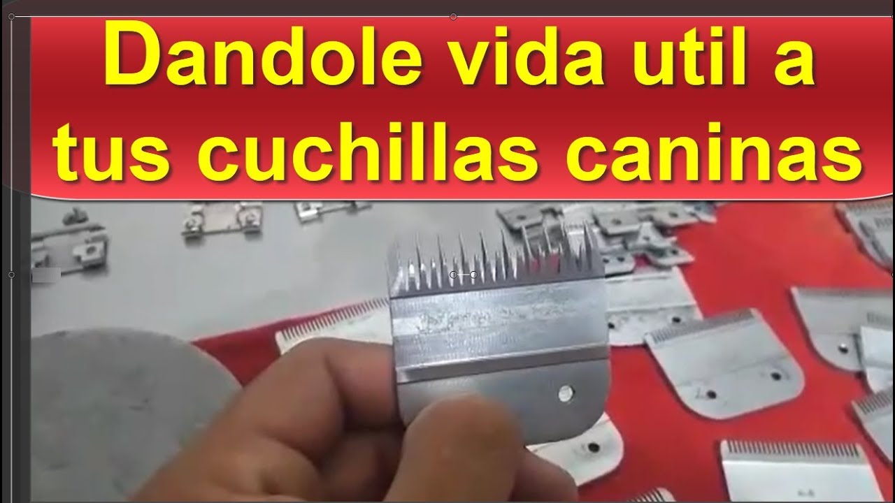 AFILADO DE CUCHILLAS