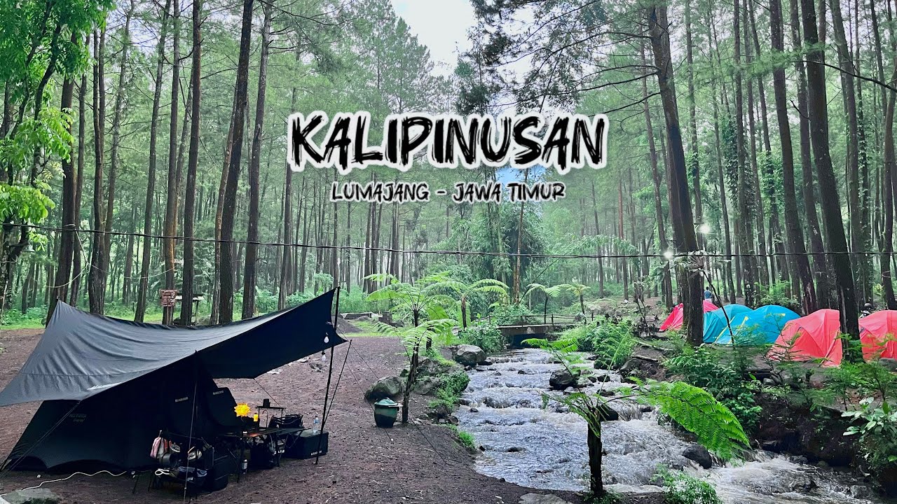 CAMPING KELUARGA DI KALIPINUSAN PONCOSUMA LUMAJANG