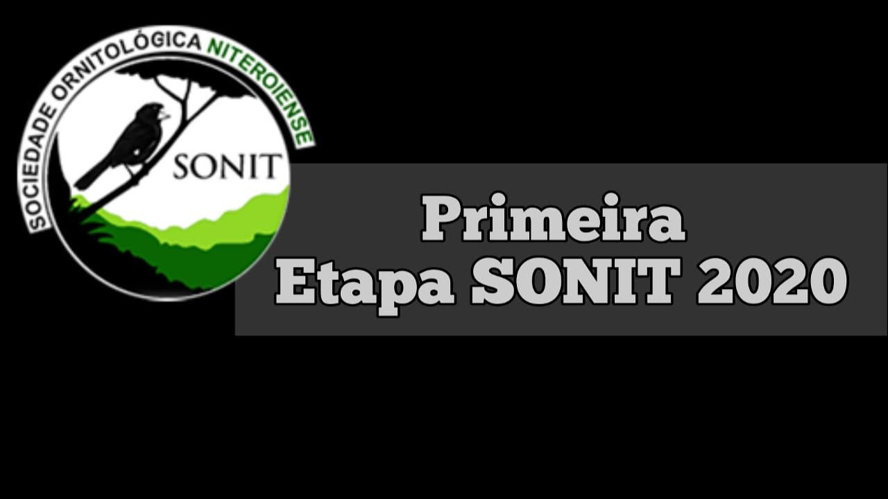 Primeira etapa SONIT 2020, cobertura de grandes momentos!