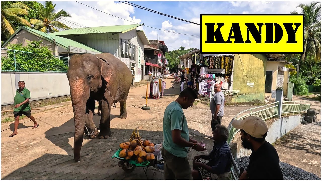 2024 sri lanka 🇱🇰 #2 (kandy)