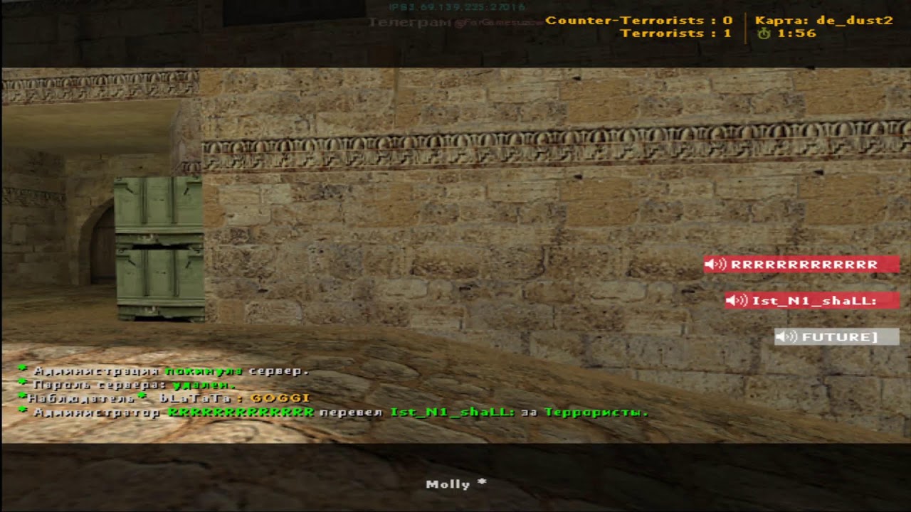 LIFE STREAM Molly ~