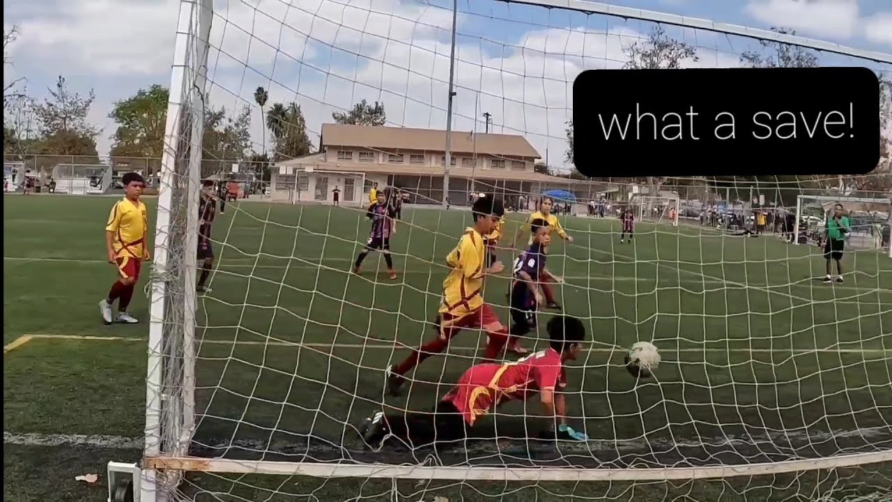 goalie highlights (part 2)