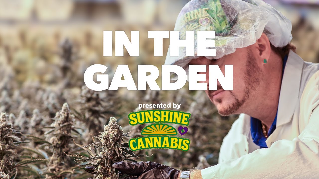 Sunshine Cannabis founder on Trulieve's original partnership journey