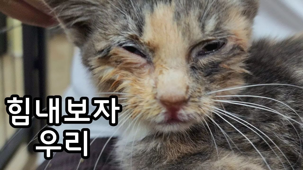 다시 뛸 준비중입니다