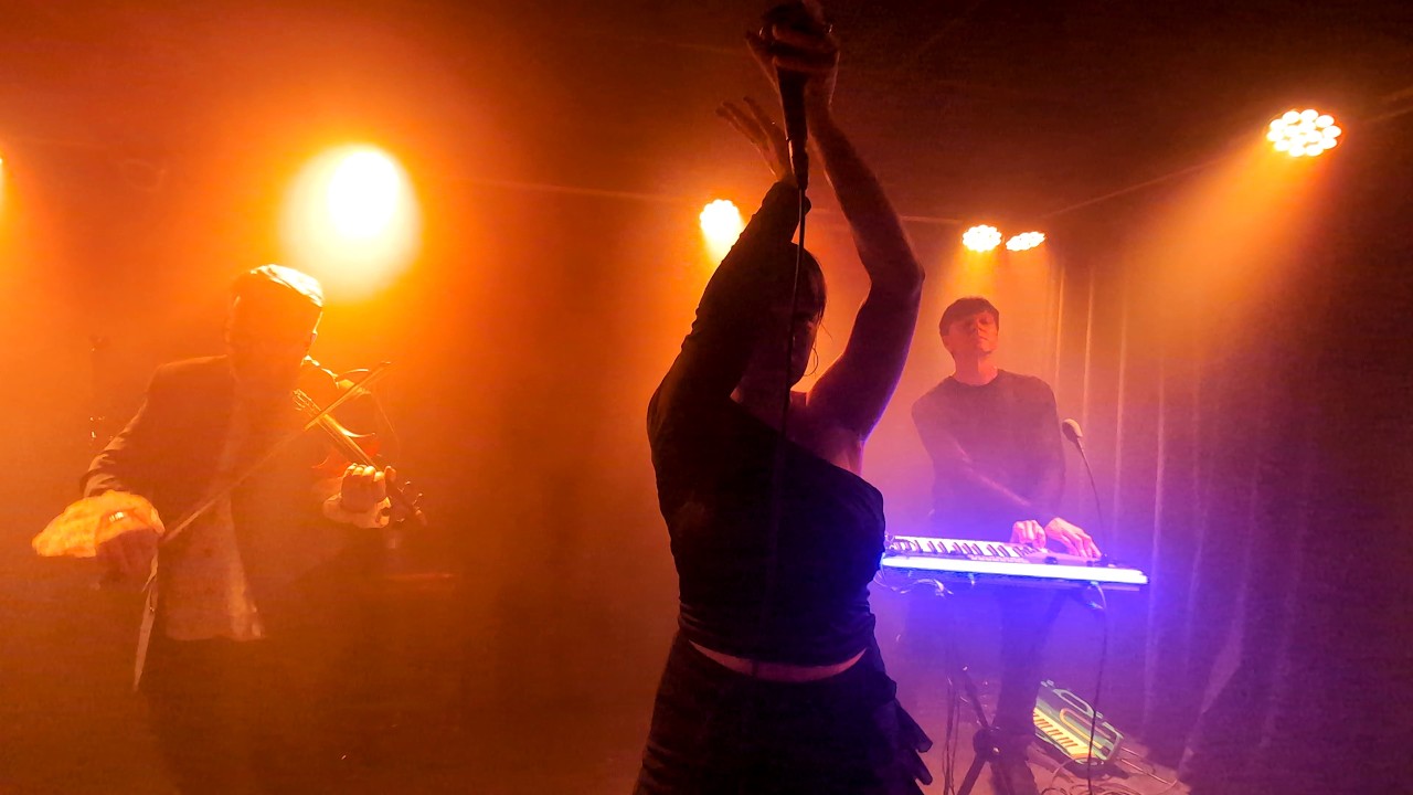 Ankomst - House of the rising sun (feat. Robert Åhlin) - Live @ Winterwaves 2026