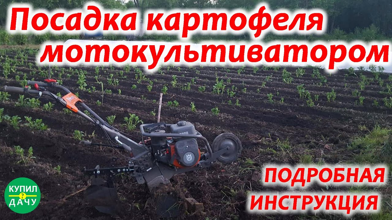 Посадка картофеля культиватором или мотоблоком (Husqvarna TF 230)