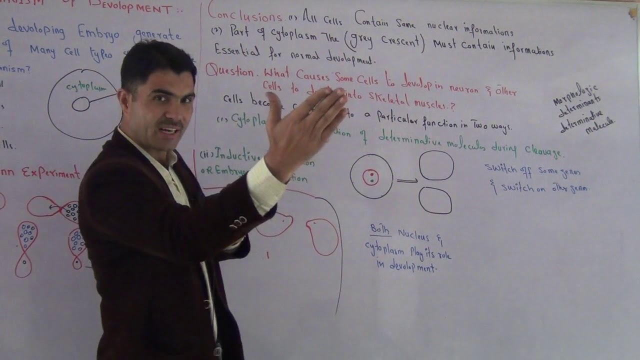 L-6 Control or Mechanism of Development, role of nucleus and cytoplasm in development, by dr Hadi