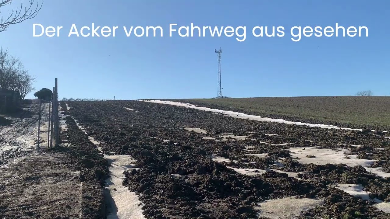 Gro&szlig;ebersdorf -  Putzing  Eine weitere Fossilfundstelle.