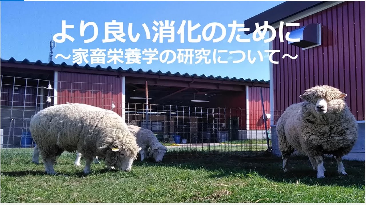 畜大生によるミニミニ講演会「より良い消化のために ～家畜栄養学の研究について～」