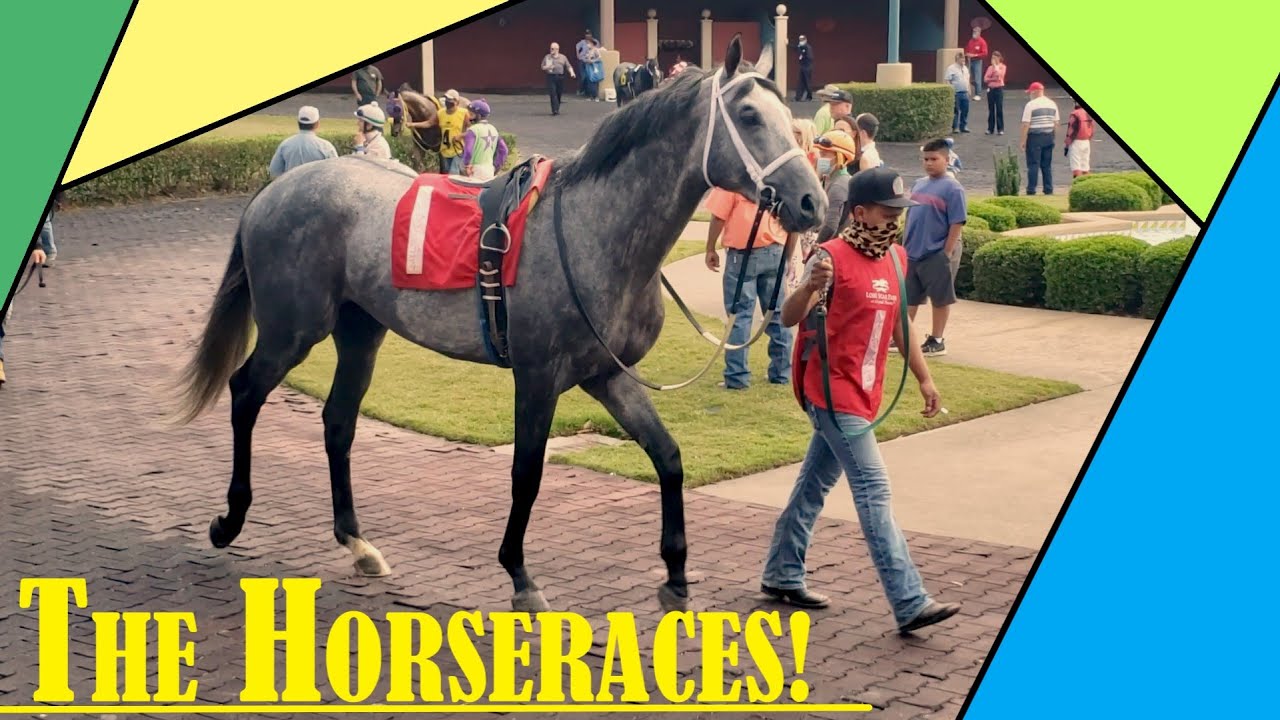 A day at Lone Star Park races with me - Things to do near Dallas, TX