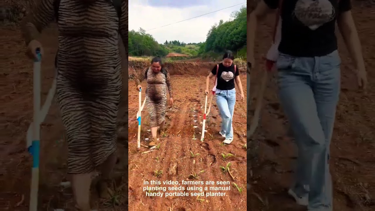 Affordable & Efficient: Planting Seeds with a Portable Handheld Seed Drill