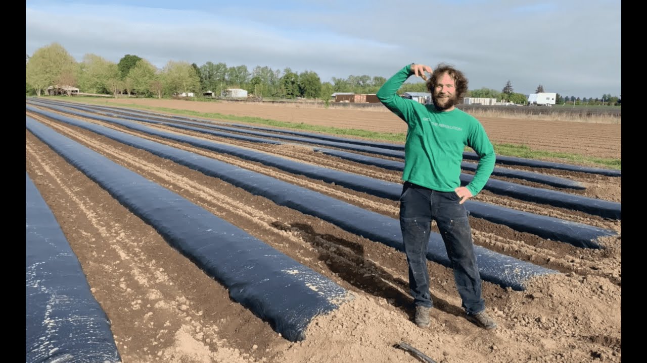 Oregon CBD's Guide On How To Prepare Hemp Fields