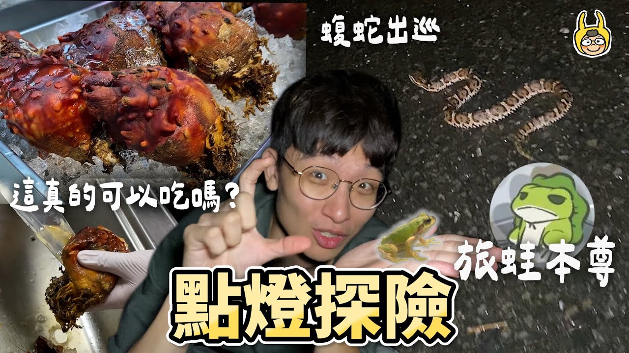 旅蛙的本尊！日本點燈採集，豐盛的海鮮招待【宮城篇】【皮特玩自然】