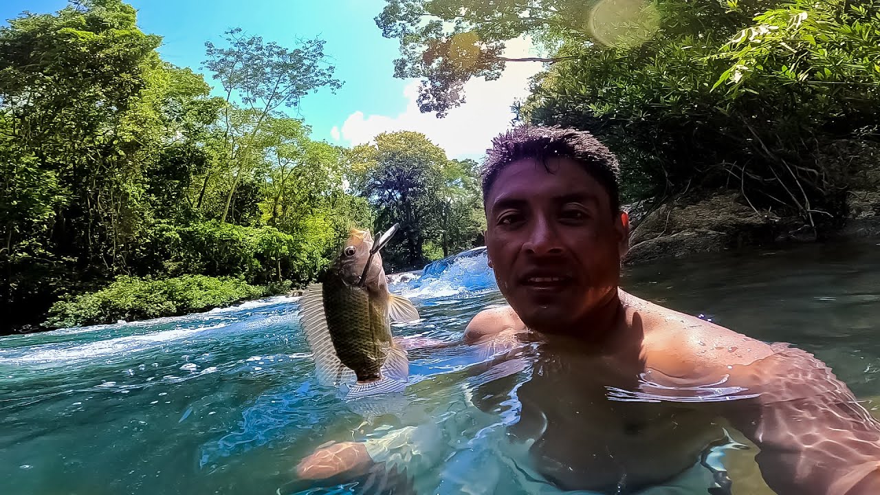 Pesca y cocina en agua cristalina cocinando en un arroyo